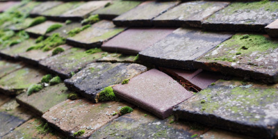 Ackhampstead roof repair costs